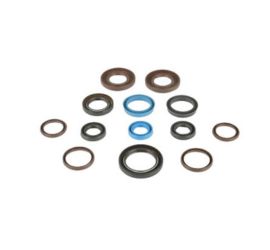 orings2
